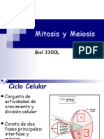 Mitosis y Meiosis