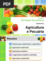 Agricultura e Pecuária