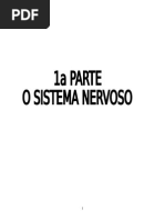 Parte 1 - o Sistema Nervoso