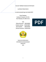 Laporan Praktikum Pengendalian Hama dan Penyakit Terpadu Tanaman Padi