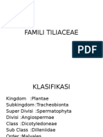 Famili Tiliaceae