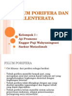 Ppt Filum Porifera Dan Coelenterata