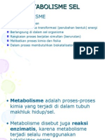 8. Metabolisme Sel