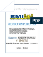 Metodo de Levantamiento Artificial, Recuperacion Secundaria, Recuperacion Terciaria