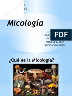 Micología