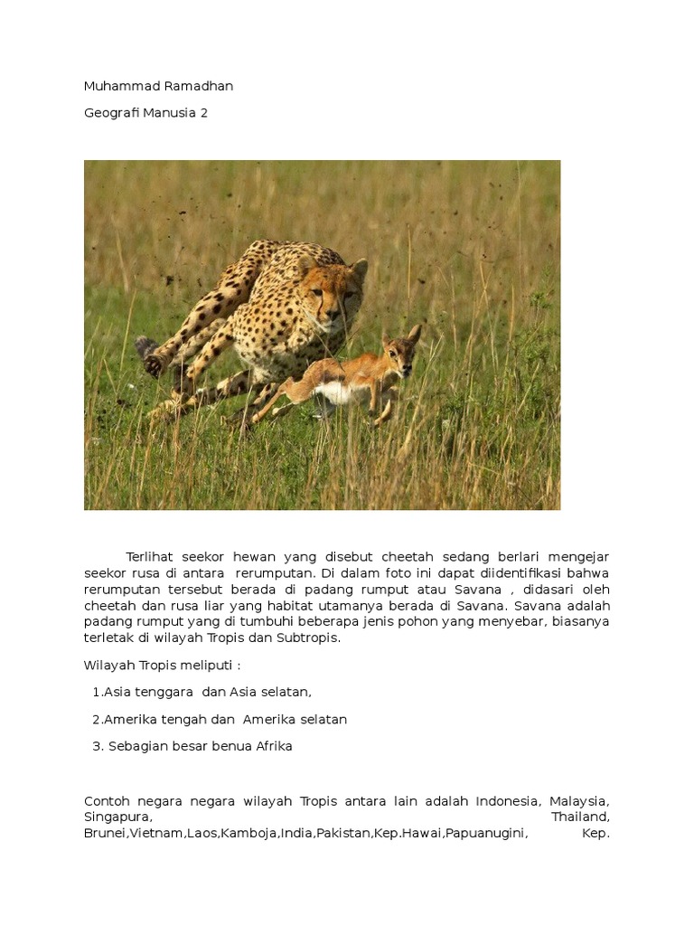 Tugas Geografi Manusia 2