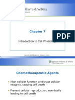 Introduction To Cell Physiology