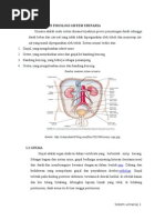 Download ANATOMI DAN FISIOLOGI SISTEM URINARIAdocx by LianaNurhasanah SN256654940 doc pdf