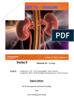 Moment 12 - Urologi