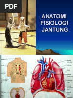 Anfis Jantung