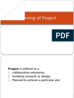 Meaning and Definition of a Project