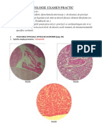 Histologie