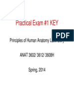 Practical Exam #1 KEY: Principles of Human Anatomy Laboratory