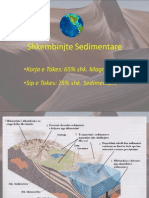 Seminar - 5 - Shk. Sedimentare & Metamorfike PDF