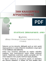 agriaginara_sb.pdf
