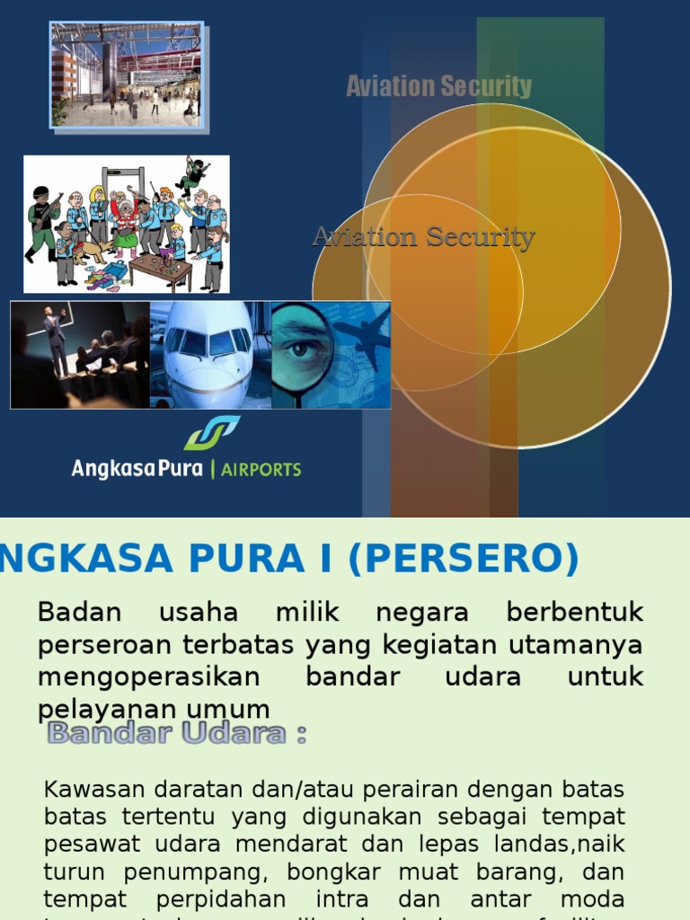 Avsec Aviation Security