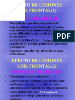Sindromes Lobares.ppt 