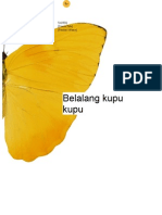 Belalang Kupu Kupu