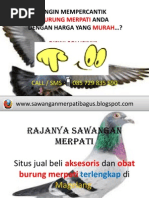 Merpati