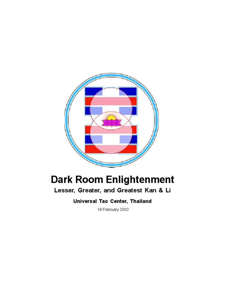 Dark Room Intro PDF Neidan Brain