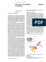 Fuster (2001) The Prefrontal Cortex - An Update. Time Is of The Essence PDF