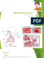 Bronkhitis Akut