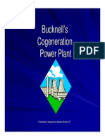 Bucknells Cogeneration Power Plant