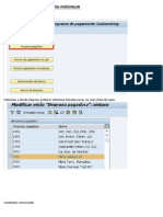 Como Configurar Montante Minimum Na Transação FBZP PDF