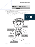 Partes Del Cuerpo 1º