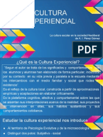 Didactica - Cultura Experiencial PDF
