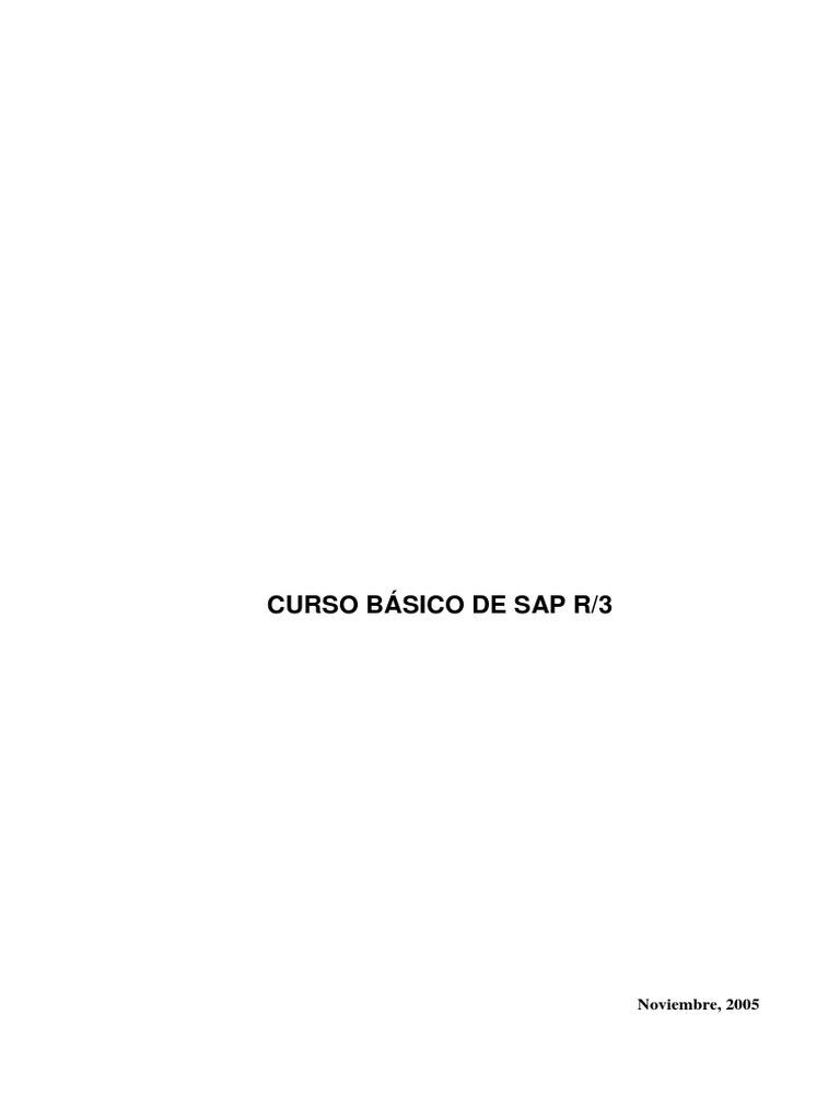Manual Basico de SAP | PDF