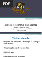Aula 2 - Biologia e Anatomia Abelhas