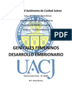 Desarrollo Embrionario Femenino