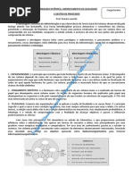 Processos e Qualidade