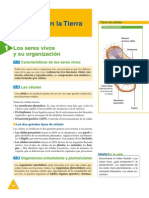 Tipos de células y organización de los seres vivos