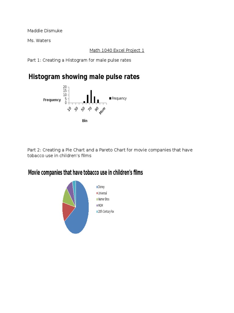 Data Visualization in Excel Project | PDF