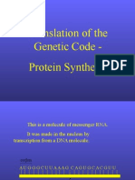 Translation of The Genetic Code - Protein Synthesis