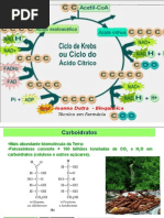 Aula Ciclo de Krebs Ou Ciclo Do Ácido Cítrico