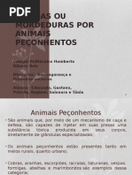 Traballho Sobre Picadas de Animais Peconhentos