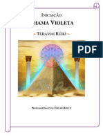 Apostila-Chama-Violeta.pdf