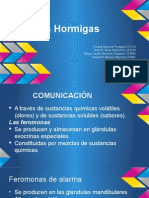 Hormigas