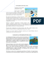 Contaminación del agua: causas y efectos