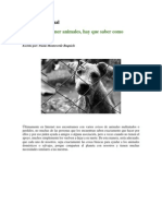 Un Mundo Animal PDF