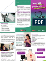 triptico.pdf