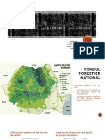 Sistemul Informational Al Fondului Forestier