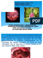 Estimulacion Prenatal