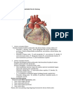 Skenario 2 Kardiovaskular