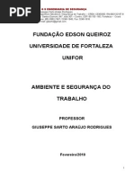 Ambiente e Seguranca Do Trabalho - 2010.1