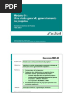 Uma Visao Geral Do Gerenciamento de Projetos