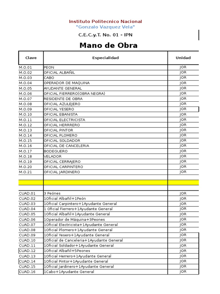 Mano de Obra Instituto Politecnico Nacional Business